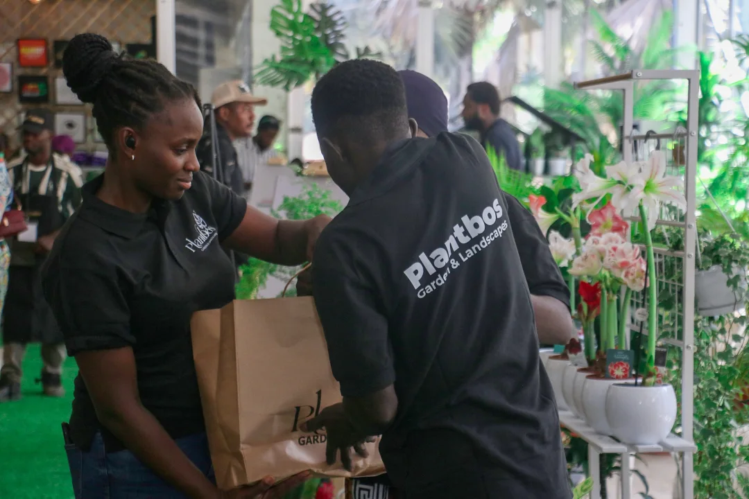 Plantbos team packaging a plant order