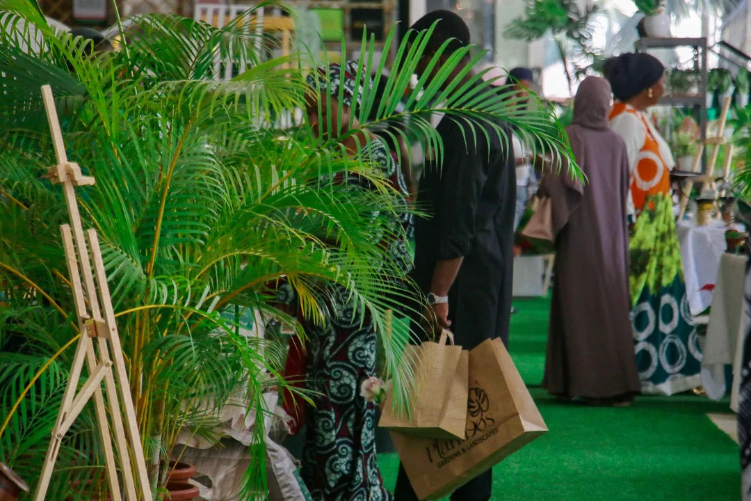 Shoppers browsing lush palms at Plantbos
