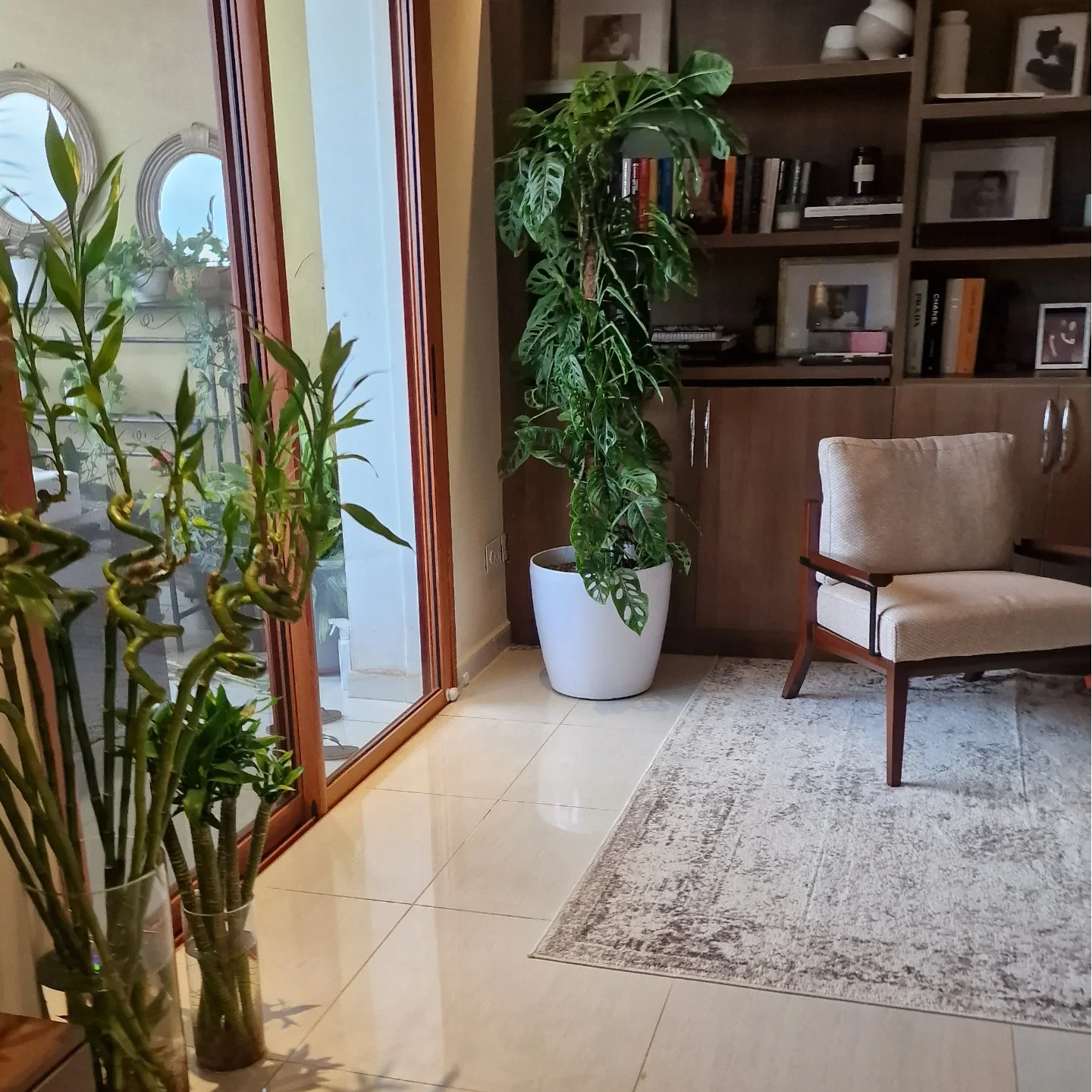 Lush dracaena and rubber plants at Plantbos garden Abuja