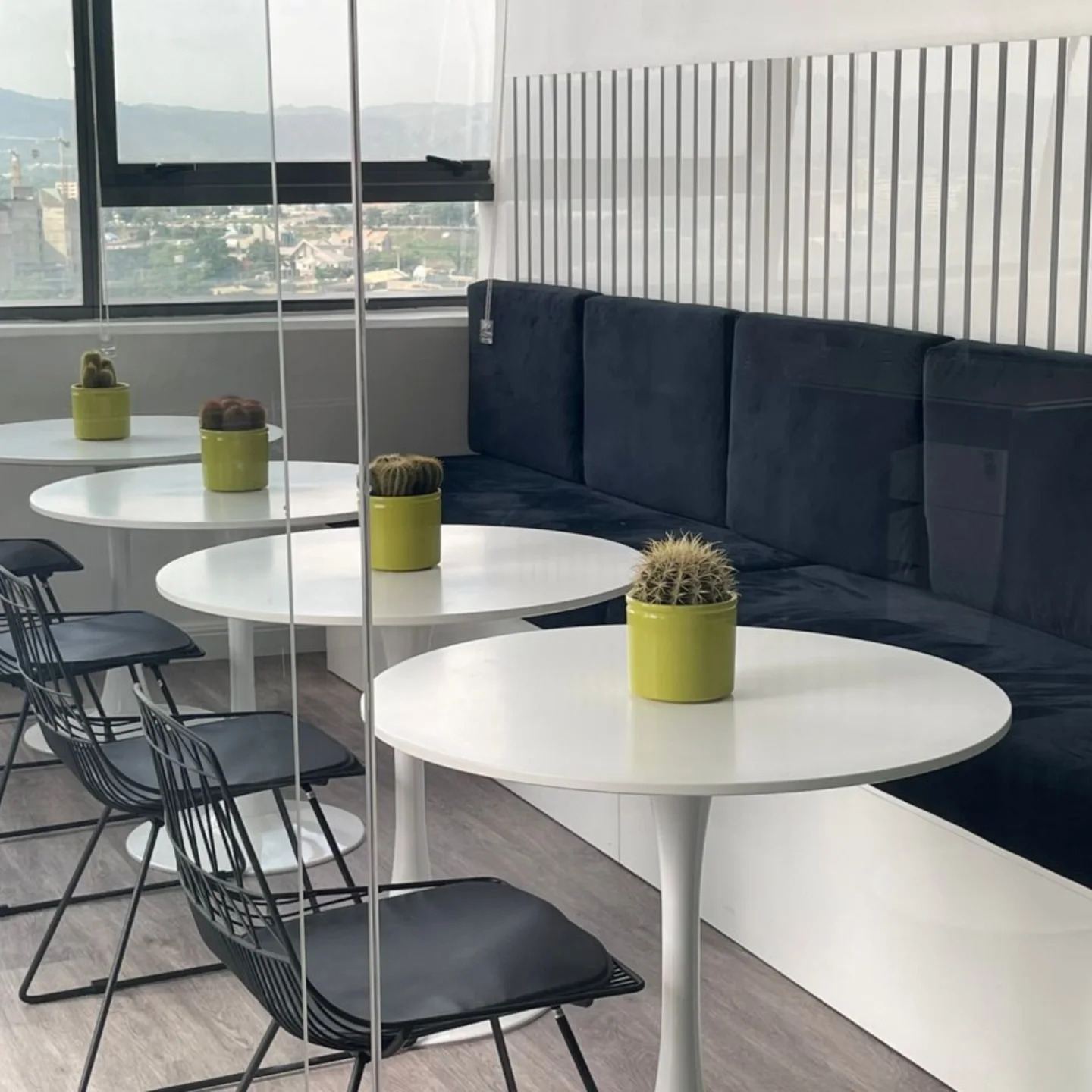 Curated indoor plant display at Plantbos Abuja
